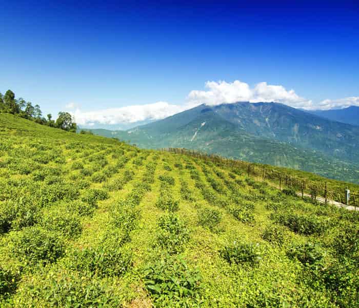 Unwind the True Spirit of the Himalayas